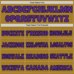 Custom Old Gold Purple-Black Mesh Authentic Football Jersey Custom Old Gold Purple-Black Mesh Authentic Football Jersey